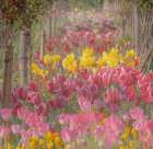 France-Giverny Tulips in Monets Garden Art Print